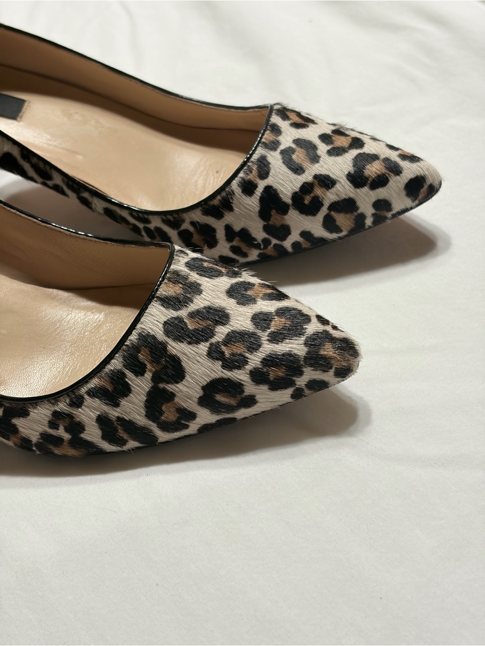 Ann Taylor Leopard-Print Pointed Toe Flats - Black, Brown, Cream - Picture 14 of 15